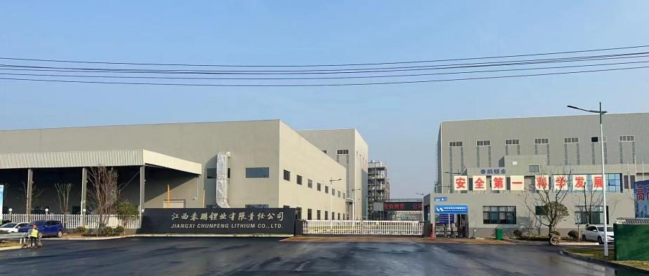 龙八头号集团股份有限公司3.5万吨 高纯锂盐项目成功点火投料试运行